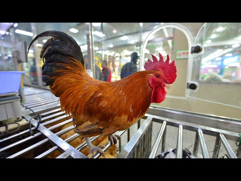 poultry markets closed in china