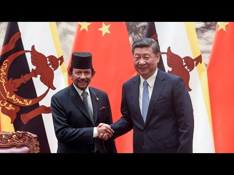 chinese president xi jinping meets brunei head of state