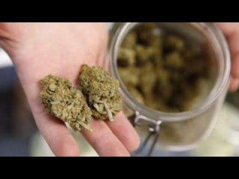 marijuana legalization should be expanded