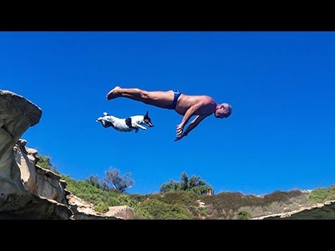 pet jack russell ‘titti’ jumps from rocks with her owner