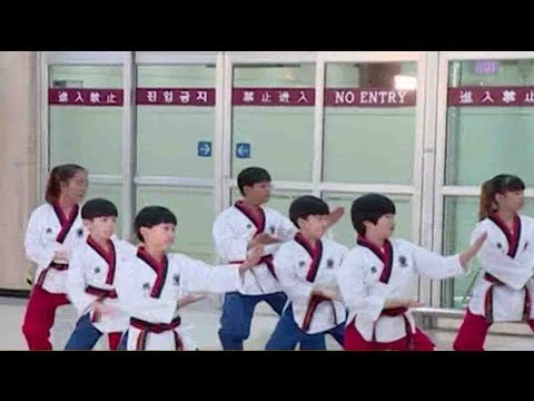 dprk taekwondo delegation visits