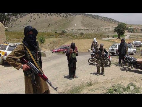 nato patrol member killed in suicide attack