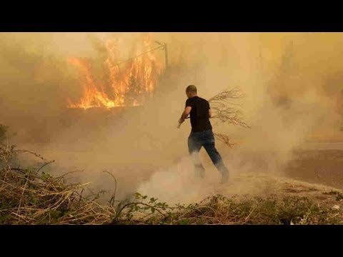 as portugal declares state of public emergency